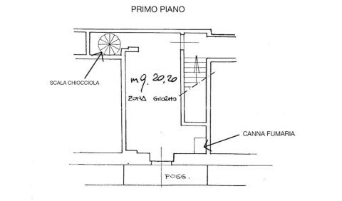 Planimetria PIANO PRIMO