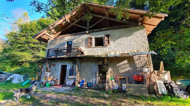 LA CASA NEL BOSCO 